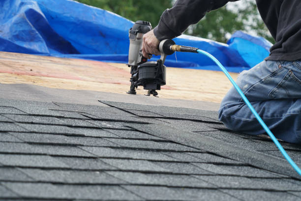 Best Roof Moss and Algae Removal  in Greenback, TN
